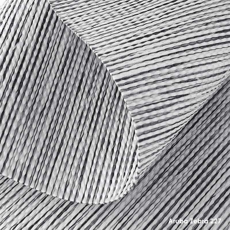 Aruba-Zebra-227