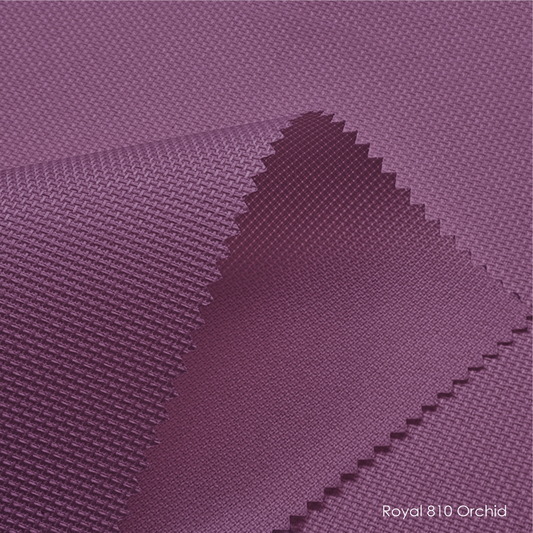 Royal 810 orchid