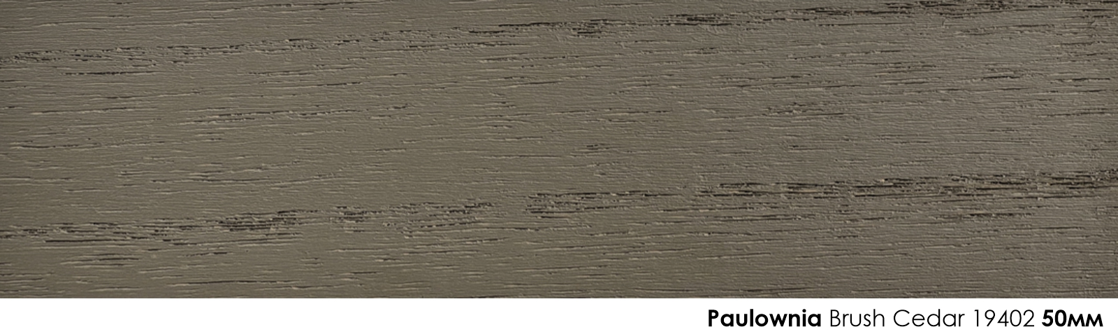 50mm Paulownia Brush Cedar 19402