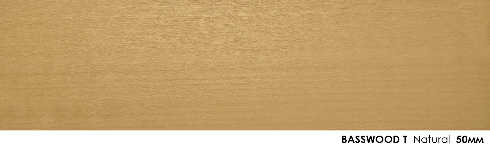 50mm Basswood T Natural